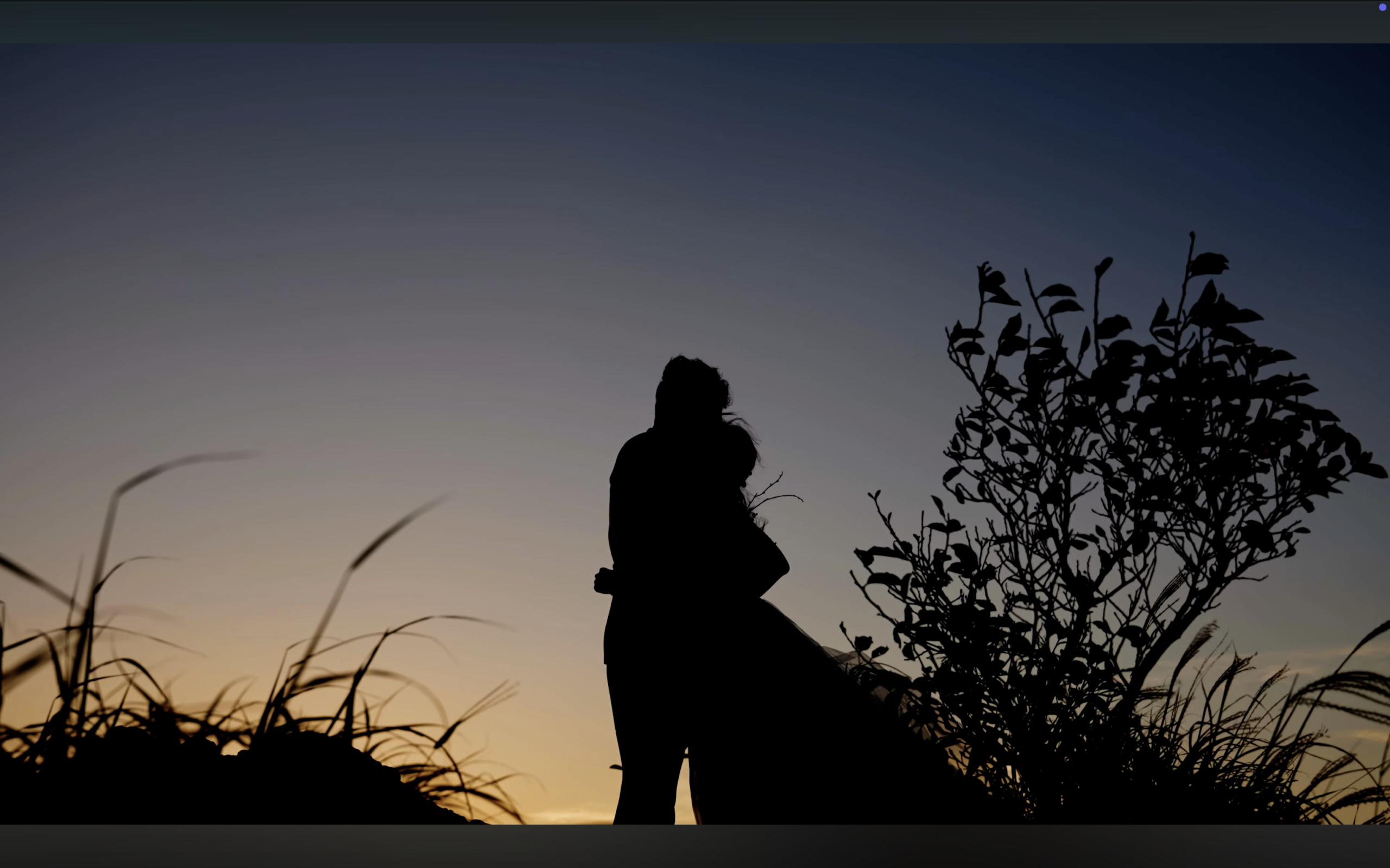 テスト投稿_Wedding Movie